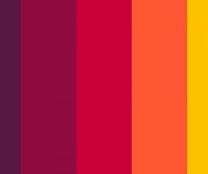 PIEKĻŪSTAMĪBAS ZIŅOJUMS