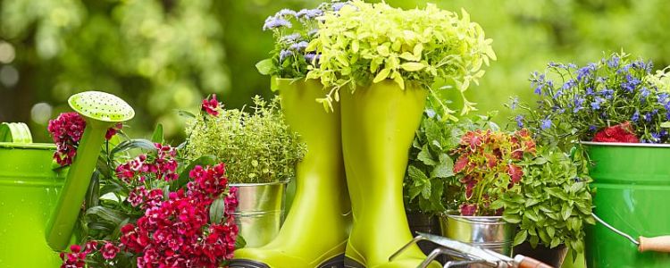 Dārzkopības nodarbības