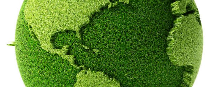 Vides kampaņu organizēšana