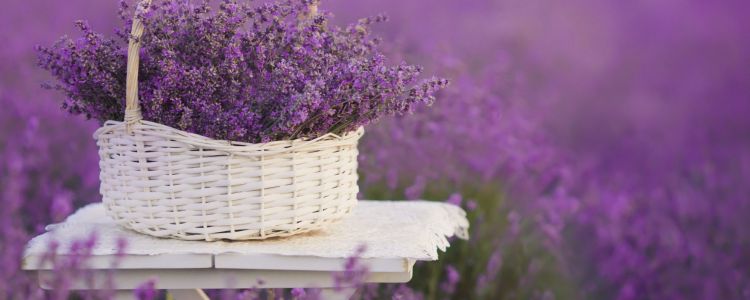 Paldies teikšanas diena koledžā!