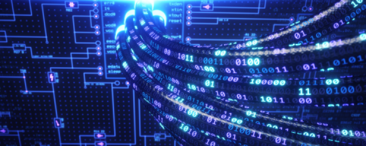 Nākotnes IT spečuks 